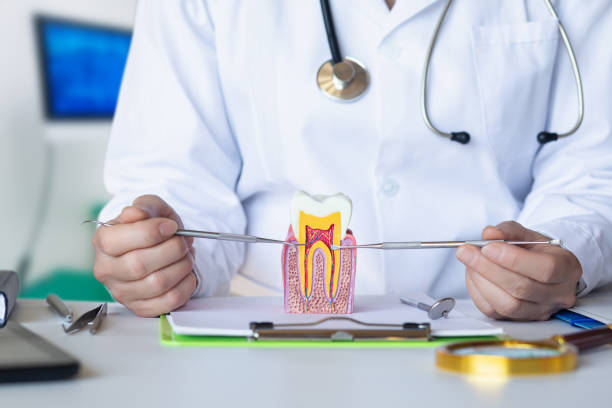 Best Broken or Cracked Tooth Emergency Dentist in Midland, NC